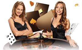f8bet13